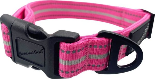 Bright Pink Hem and Boo Sports Dog Collar at The Lancashire Dog Company